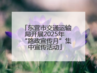 东营市交通运输局开展2025年“路政宣传月”集中宣传活动