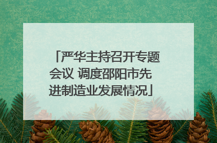 严华主持召开专题会议 调度邵阳市先进制造业发展情况