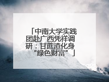 中南大学实践团赴广西凭祥调研：甘蔗渣化身“绿色财富”