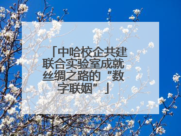 中哈校企共建联合实验室成就丝绸之路的“数字联姻”