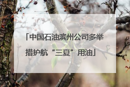 中国石油滨州公司多举措护航“三夏”用油