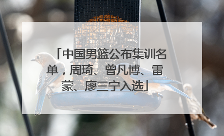 中国男篮公布集训名单，周琦、曾凡博、雷蒙、廖三宁入选