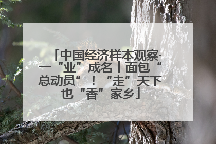 中国经济样本观察·一“业”成名丨面包“总动员”！“走”天下也“香”家乡