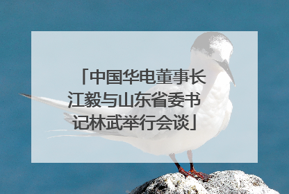 中国华电董事长江毅与山东省委书记林武举行会谈