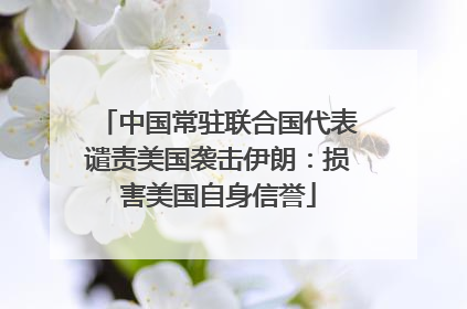 中国常驻联合国代表谴责美国袭击伊朗：损害美国自身信誉