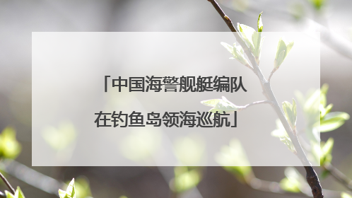 中国海警舰艇编队在钓鱼岛领海巡航