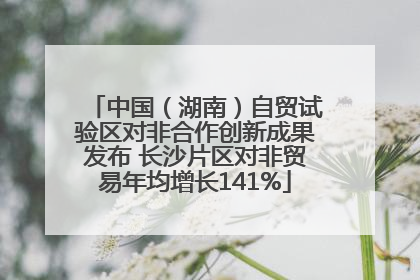 中国（湖南）自贸试验区对非合作创新成果发布 长沙片区对非贸易年均增长141%