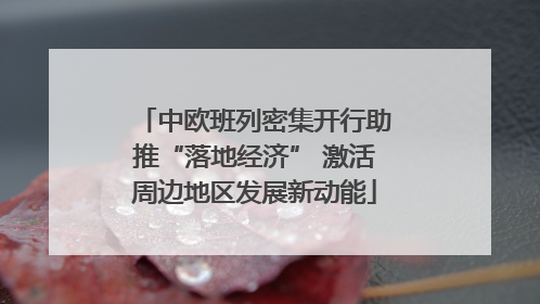 中欧班列密集开行助推“落地经济” 激活周边地区发展新动能