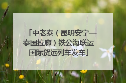 中老泰（昆明安宁—泰国拉廊）铁公海联运国际货运列车发车