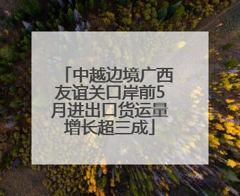 中越边境广西友谊关口岸前5月进出口货运量增长超三成