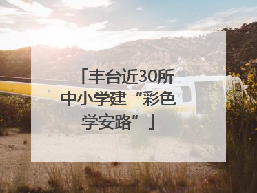 丰台近30所中小学建“彩色学安路”