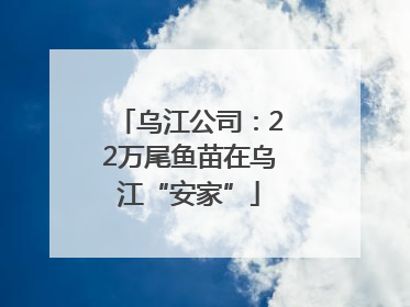 乌江公司：22万尾鱼苗在乌江“安家”