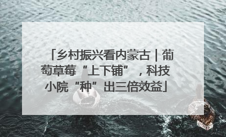 乡村振兴看内蒙古｜葡萄草莓“上下铺”，科技小院“种”出三倍效益
