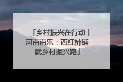 乡村振兴在行动丨河南南乐：西红柿铺就乡村振兴路