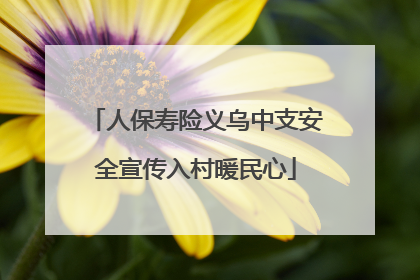人保寿险义乌中支安全宣传入村暖民心
