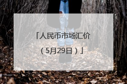 人民币市场汇价（5月29日）