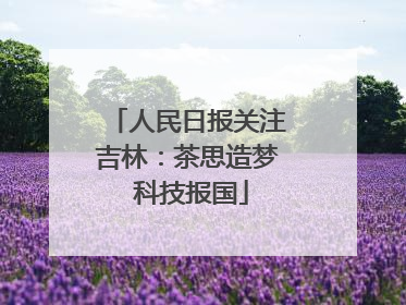 人民日报关注吉林：茶思造梦 科技报国