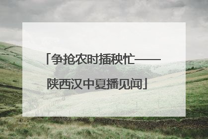 争抢农时插秧忙——陕西汉中夏播见闻