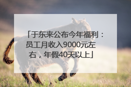 于东来公布今年福利：员工月收入9000元左右，年假40天以上
