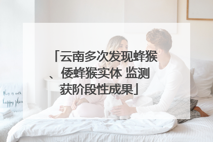 云南多次发现蜂猴、倭蜂猴实体 监测获阶段性成果