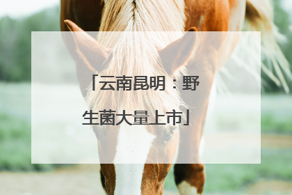 云南昆明：野生菌大量上市