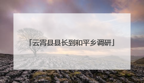 云霄县县长到和平乡调研