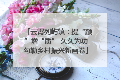 云霄列屿镇：提“颜”增“质” 久久为功勾勒乡村振兴新画卷