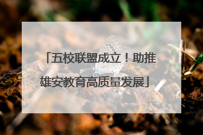 五校联盟成立！助推雄安教育高质量发展