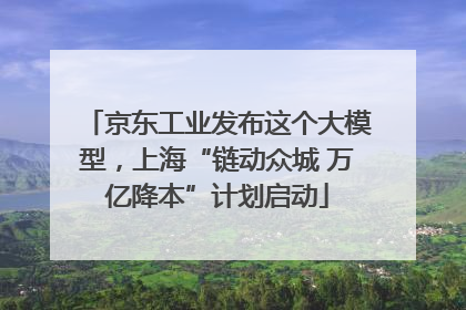 京东工业发布这个大模型，上海“链动众城 万亿降本”计划启动