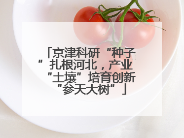 京津科研“种子”扎根河北，产业“土壤”培育创新“参天大树”