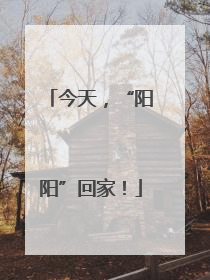 今天，“阳阳”回家！