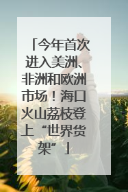 今年首次进入美洲、非洲和欧洲市场！海口火山荔枝登上“世界货架”
