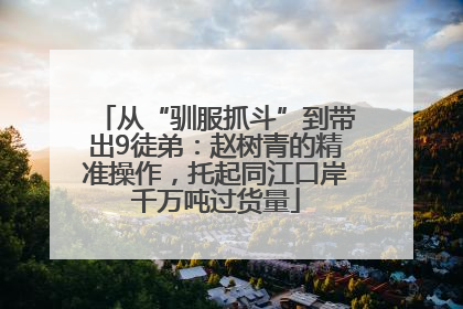 从“驯服抓斗”到带出9徒弟：赵树青的精准操作，托起同江口岸千万吨过货量