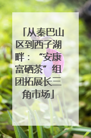 从秦巴山区到西子湖畔：“安康富硒茶”组团拓展长三角市场