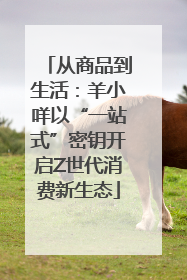 从商品到生活：羊小咩以“一站式”密钥开启Z世代消费新生态