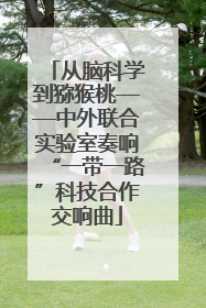 从脑科学到猕猴桃——中外联合实验室奏响“一带一路”科技合作交响曲