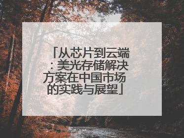 从芯片到云端：美光存储解决方案在中国市场的实践与展望