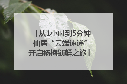 从1小时到5分钟 仙居“云端速递”开启杨梅锁鲜之旅