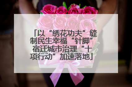 以“绣花功夫”缝制民生幸福“针脚” 宿迁城市治理“十项行动”加速落地