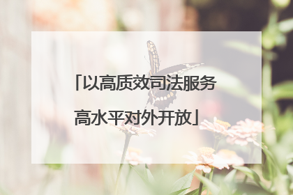 以高质效司法服务高水平对外开放