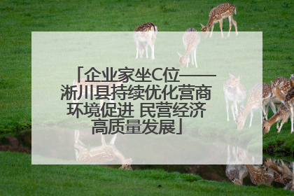 企业家坐C位——淅川县持续优化营商环境促进 民营经济高质量发展