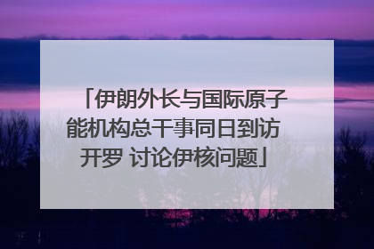 伊朗外长与国际原子能机构总干事同日到访开罗 讨论伊核问题