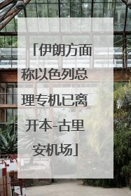 伊朗方面称以色列总理专机已离开本-古里安机场