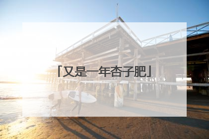 又是一年杏子肥