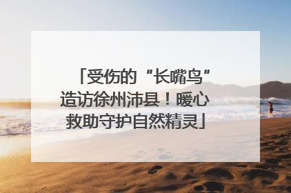 受伤的“长嘴鸟”造访徐州沛县！暖心救助守护自然精灵