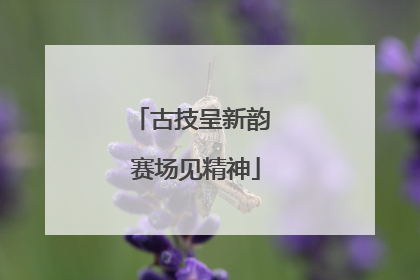 古技呈新韵 赛场见精神