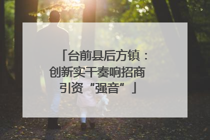 台前县后方镇：创新实干奏响招商引资“强音”