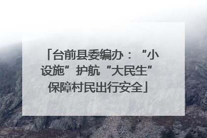 台前县委编办：“小设施”护航“大民生” 保障村民出行安全