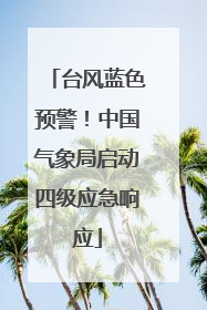 台风蓝色预警！中国气象局启动四级应急响应
