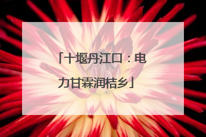 十堰丹江口：电力甘霖润桔乡